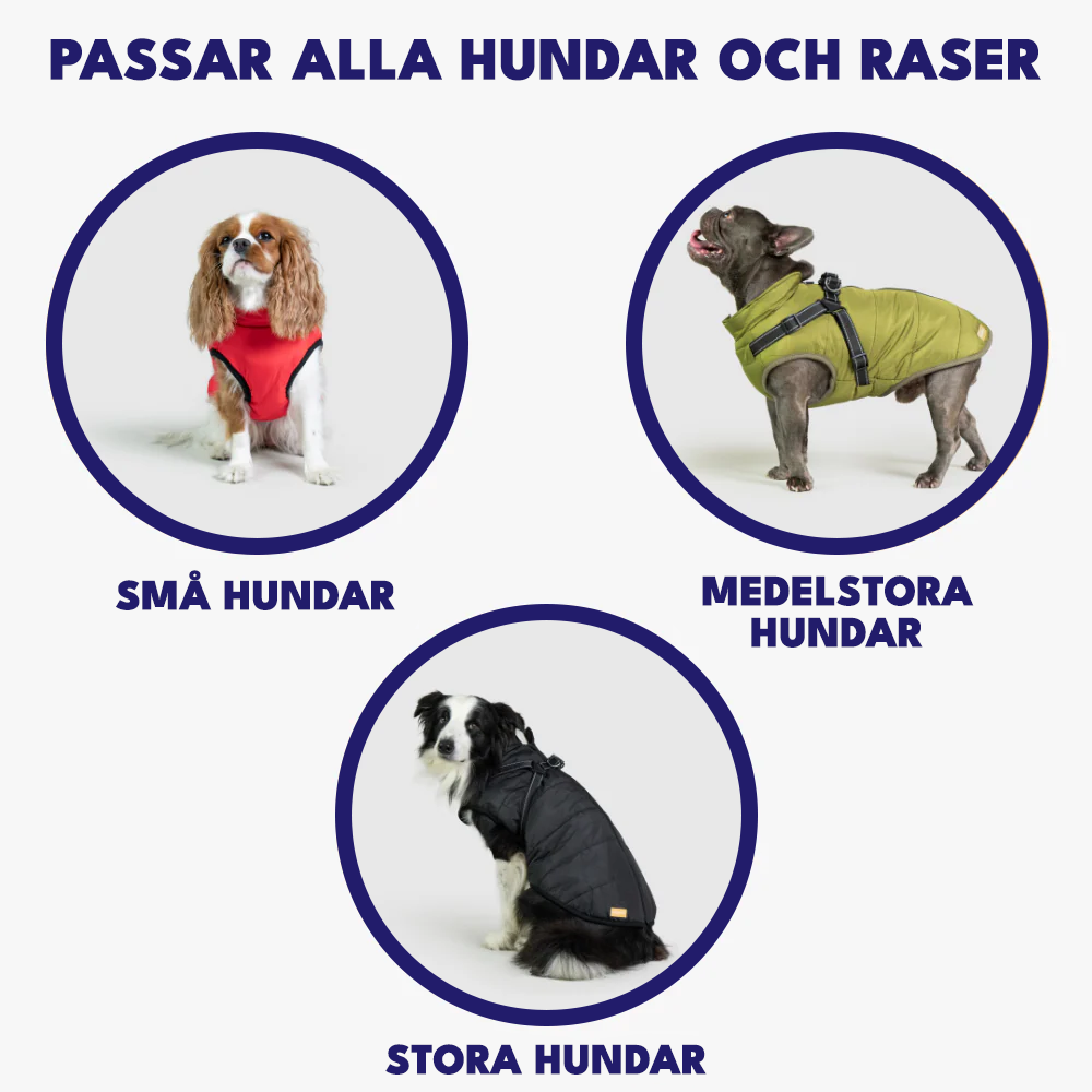 Vinterjacka för Hundar med Selen™