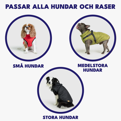 Vinterjacka för Hundar med Selen™